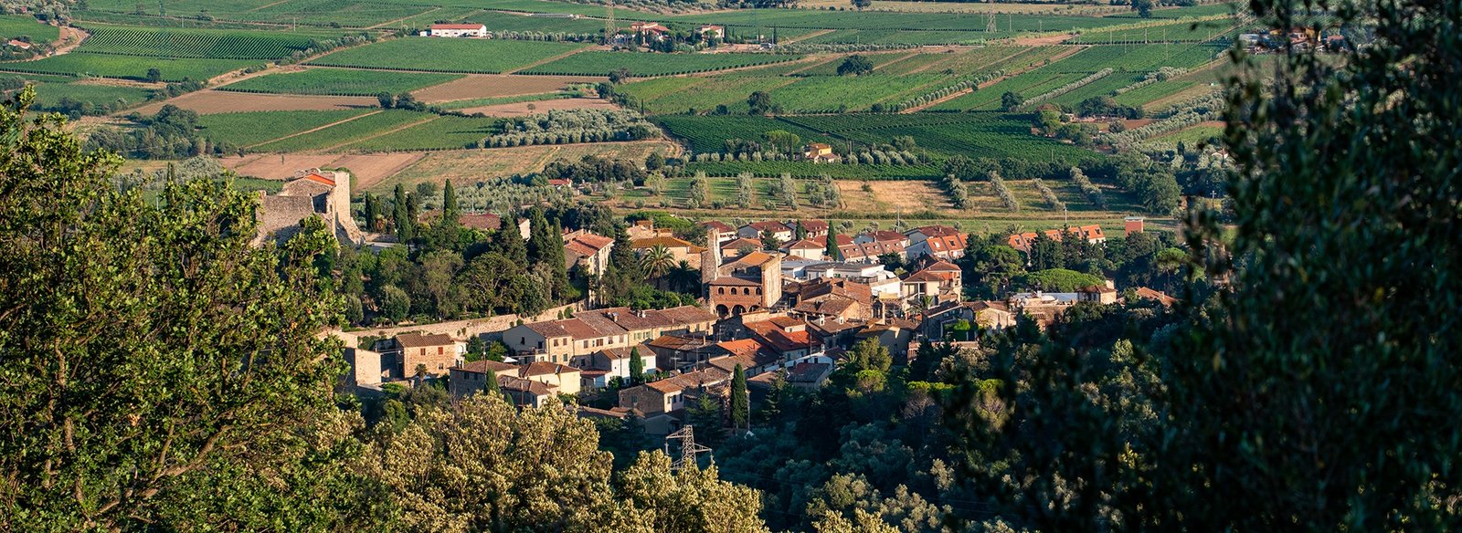 Panorama di Suvereto