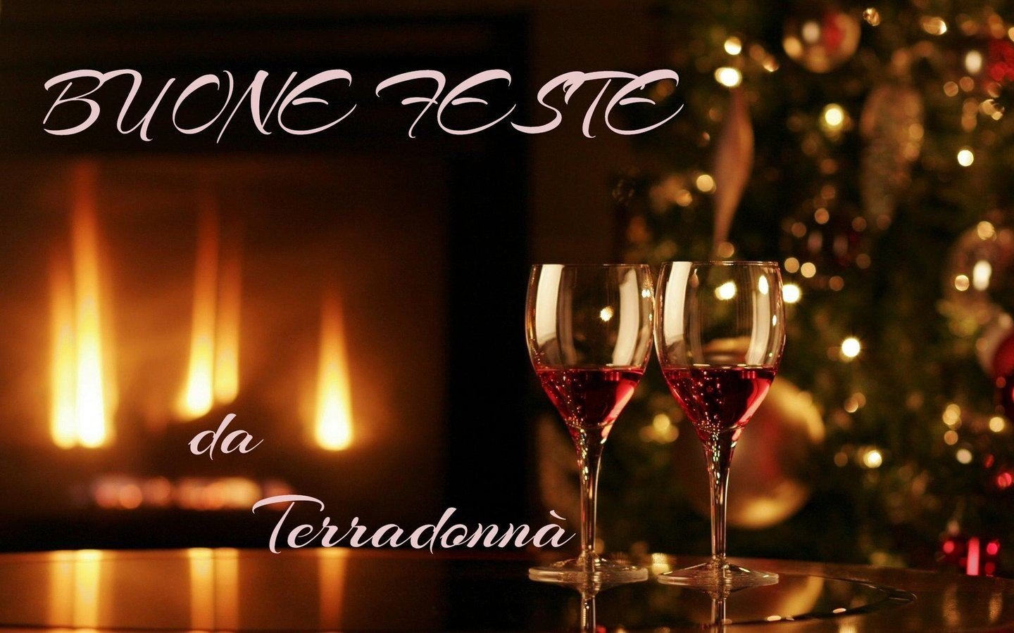 Buone Feste da Terradonnà