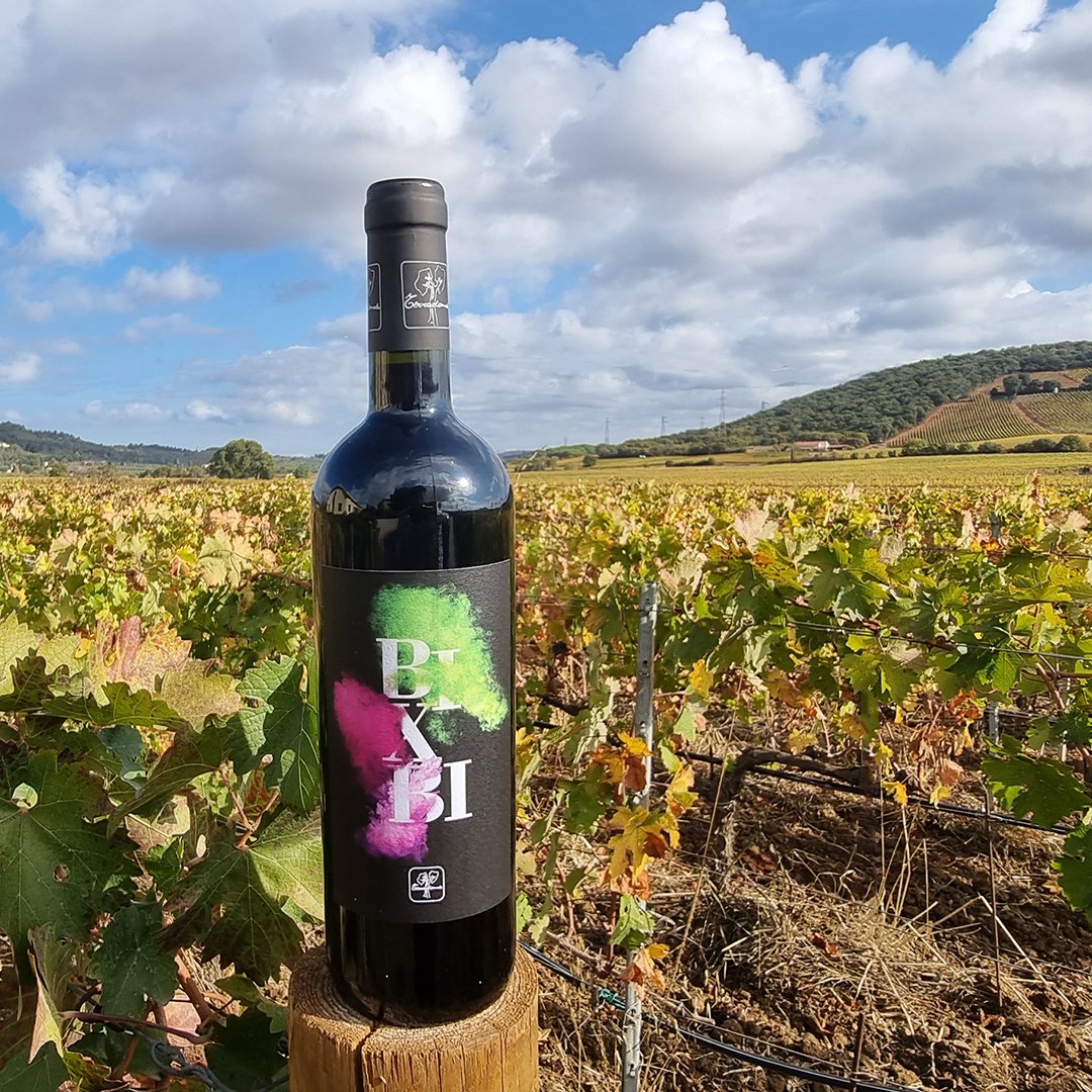 Perché si chiama Bixbi