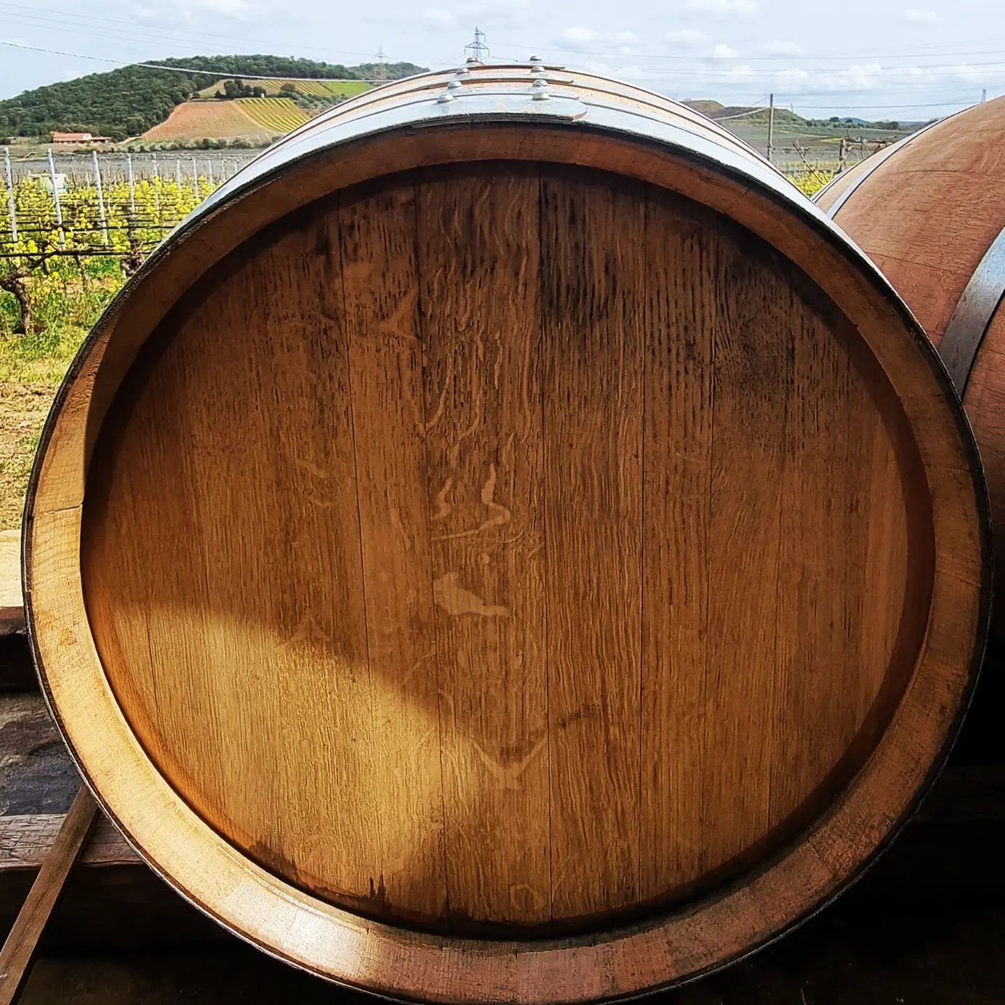 Wine Vocabulary: Barrique