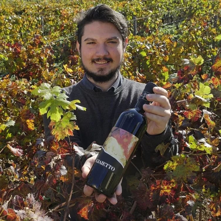 Wine Vocabulary: Colore