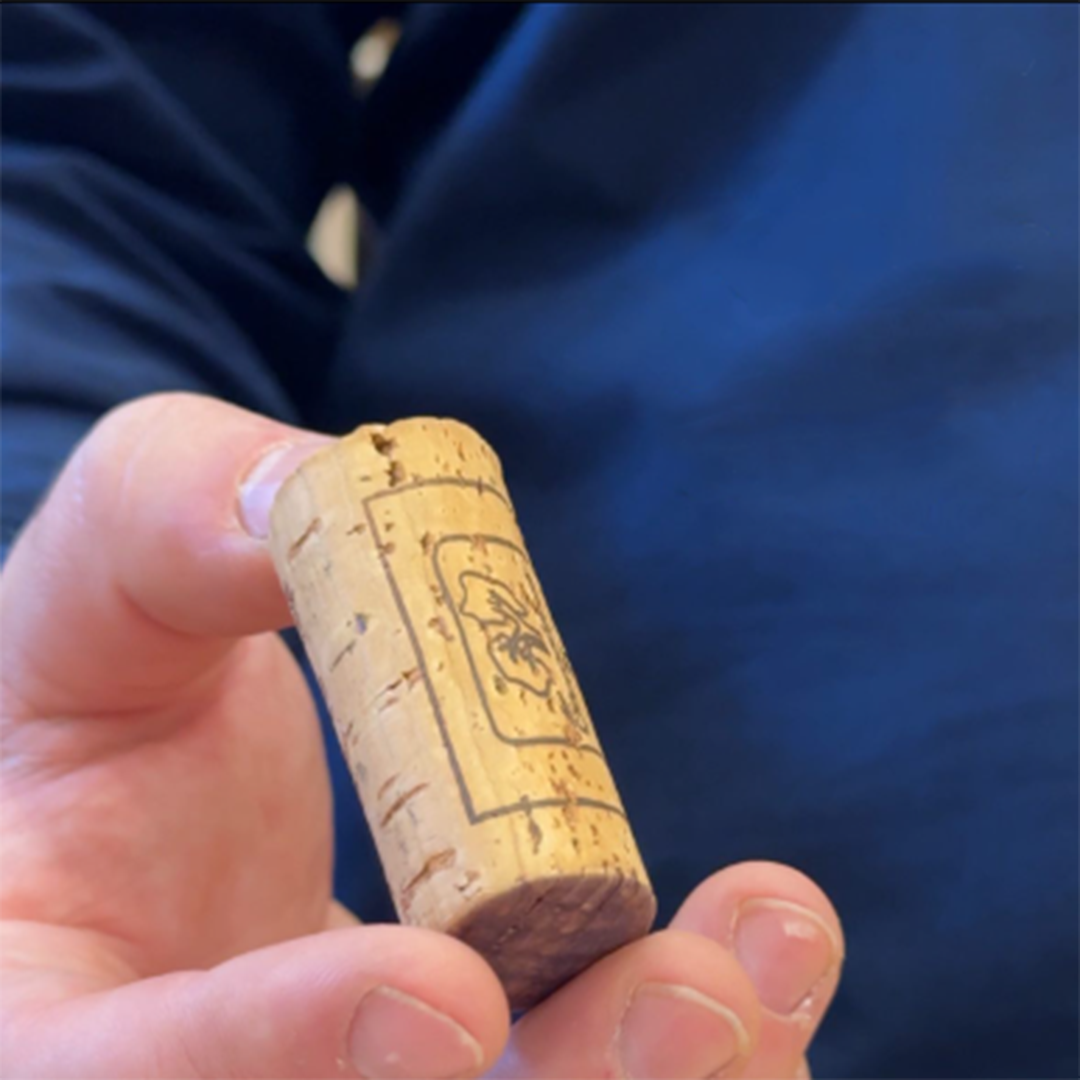 Il fascino del sughero: perché Terradonnà sceglie tappi in sughero per i suoi vini