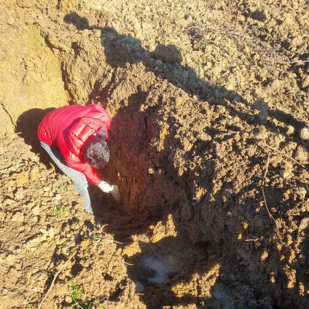 Terradonnà scommette sulla salute del suolo per un futuro sostenibile