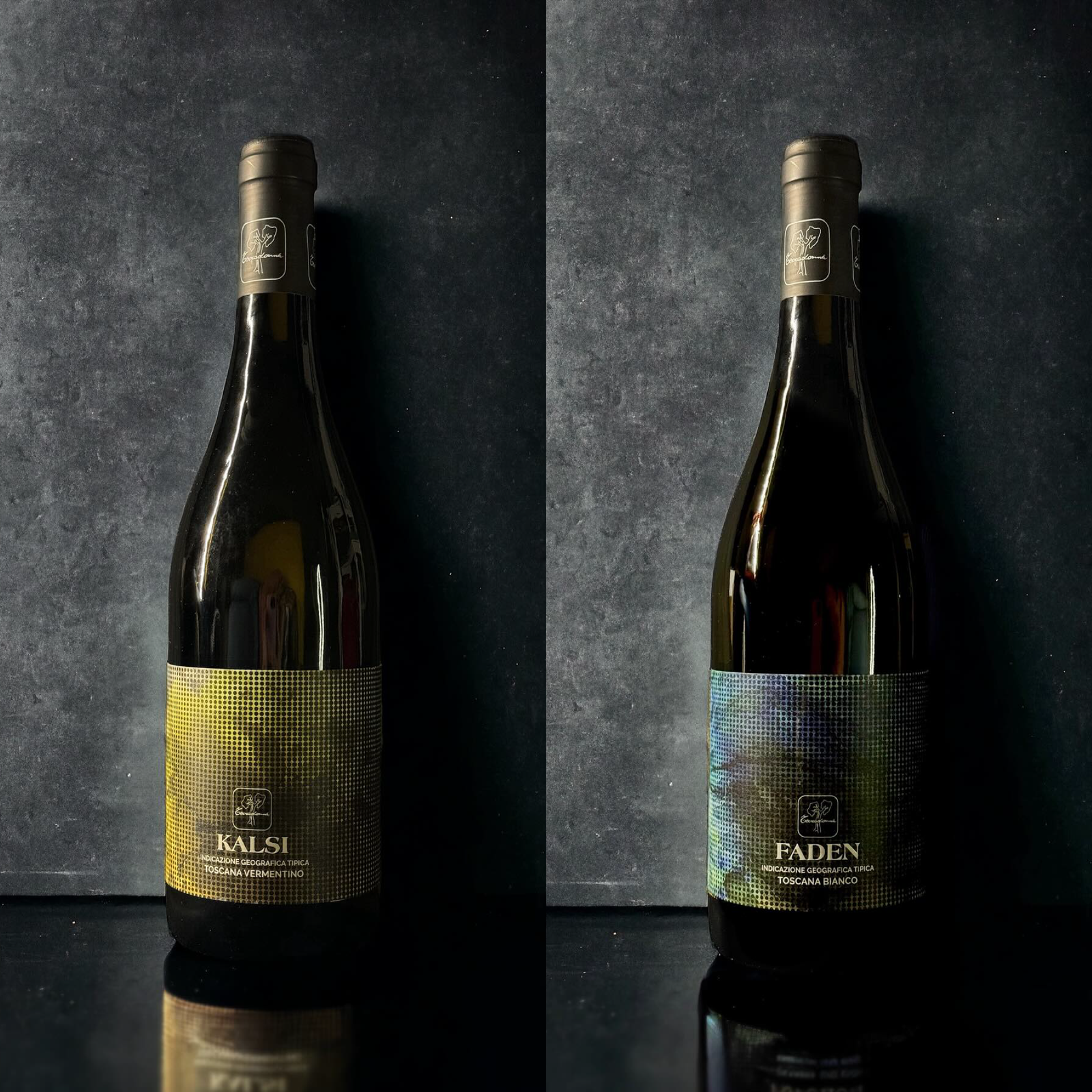 Terradonnà: 70 anni di passione e una nuova veste per i nostri vini