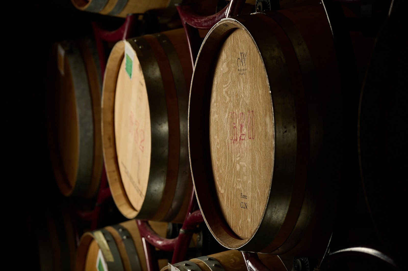 Cantina Terradonnà - Campiglia Marittima