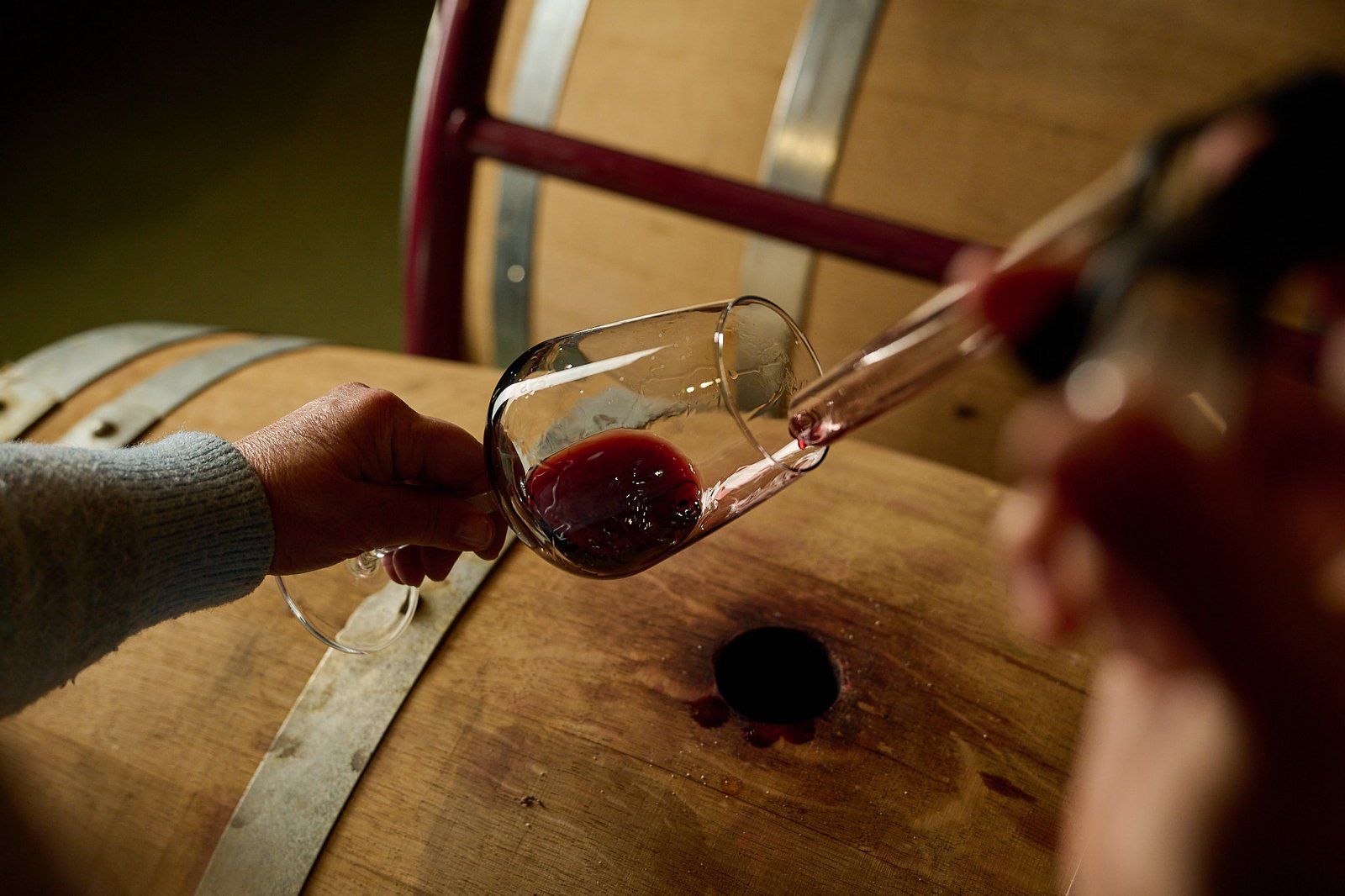 Terradonnà Winery - Barrels and Wine