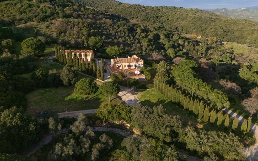 Terradonnà’s New Website Is Online | Discover Our Wines and Book a Tasting