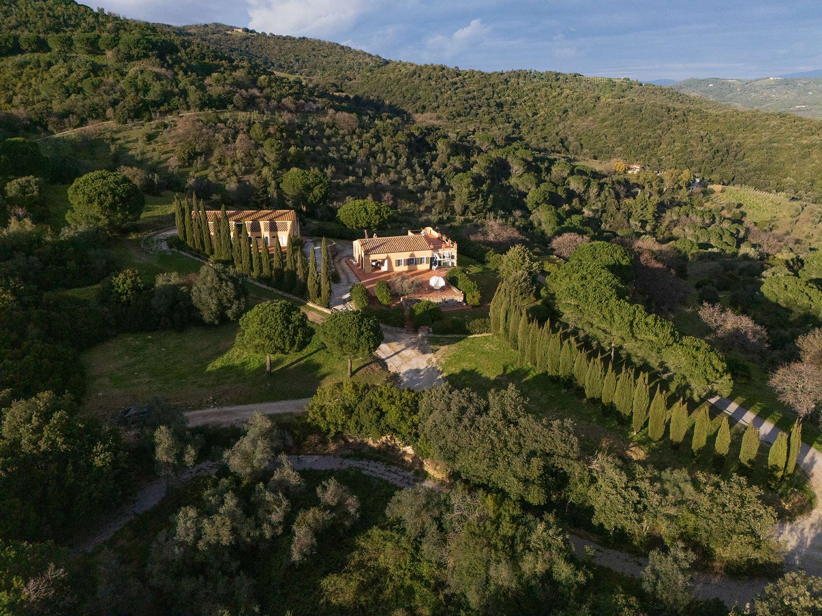 Terradonna_Wines_Campiglia_Marittima