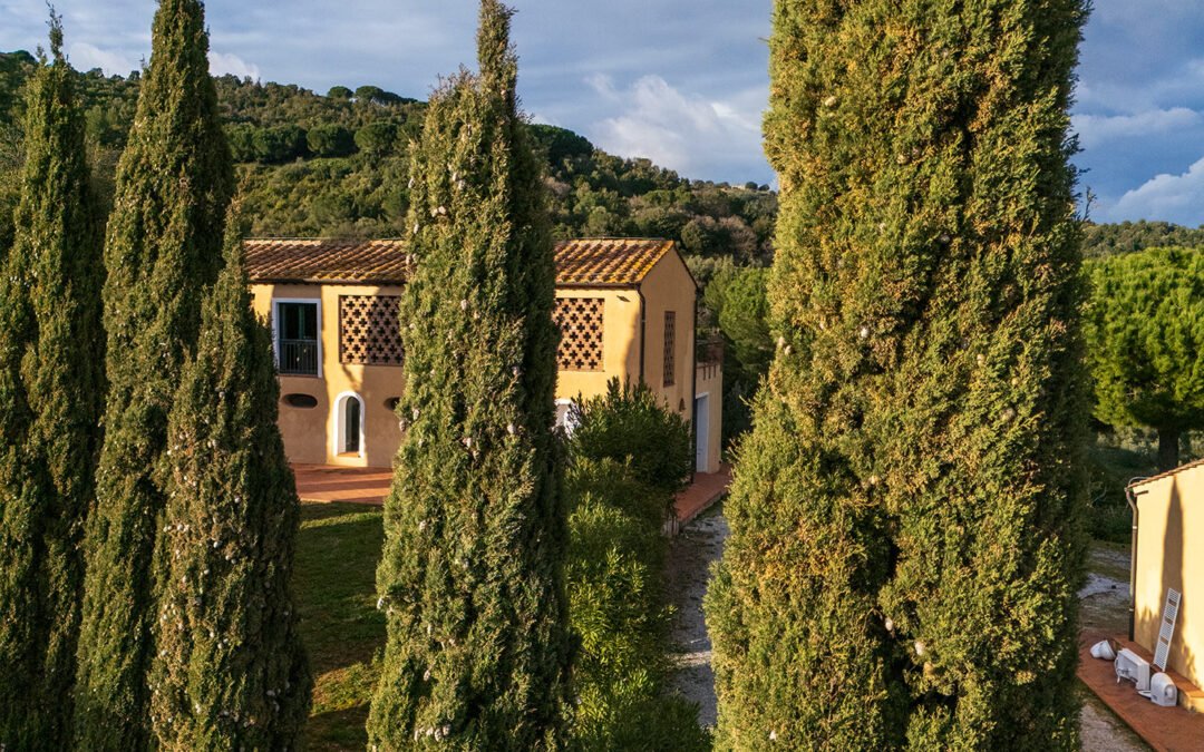 Terradonnà nella nuova casa a Campiglia Marittima